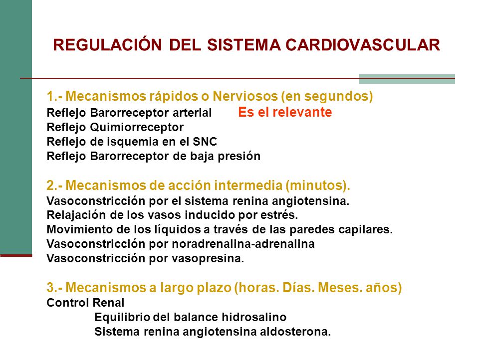 Efectos del sistema cardiovascular sobre la presión arterial